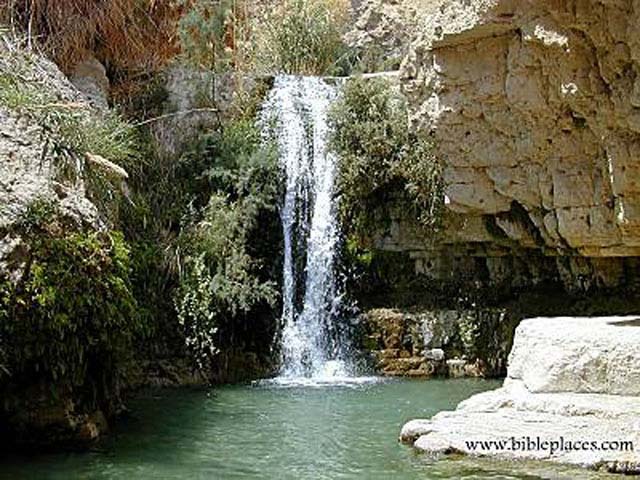 En Gedi David Waterfall