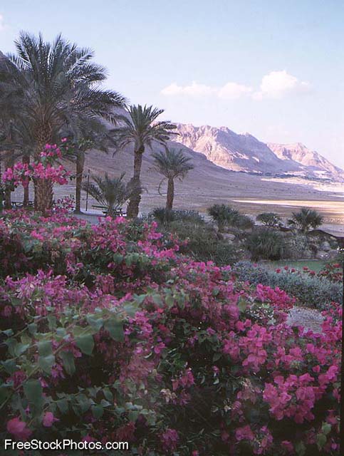 EnGedi