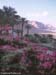 EnGedi