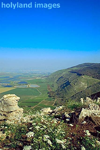 Gilboa