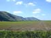 Mt Gilboa_1