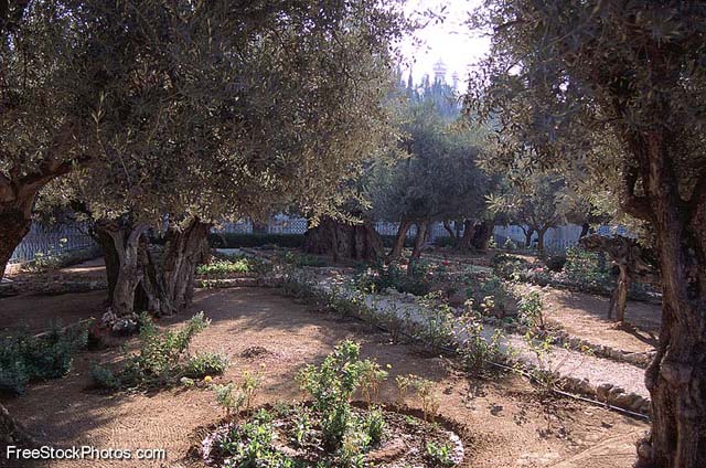 Gethsemane1_1