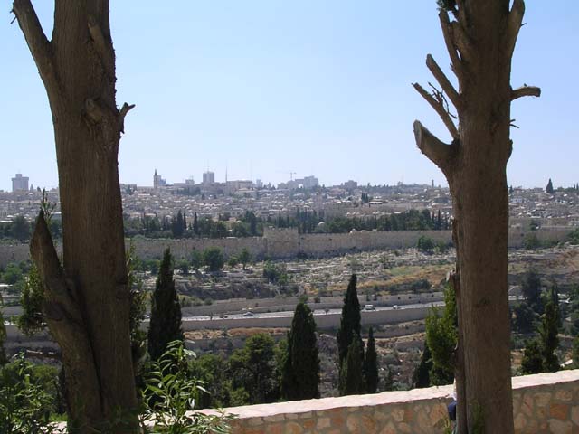 Golden GAte froim Mt. Olives