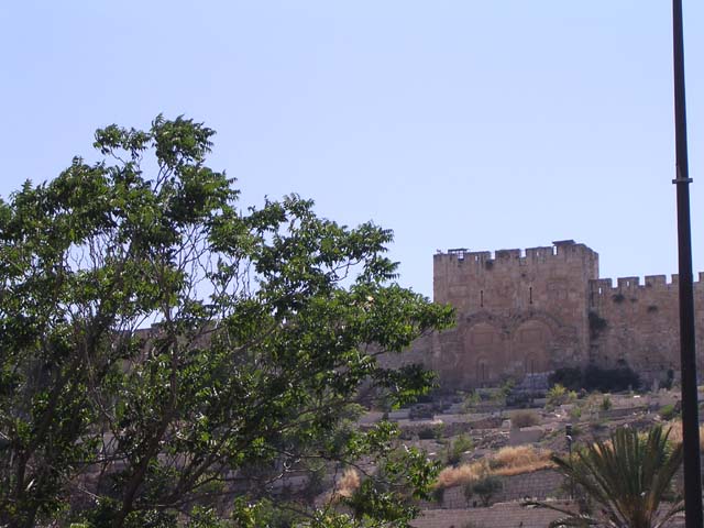 Golden Gate from Gethsemene