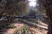 Gethsemane1_1