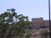 Golden Gate from Gethsemene