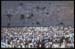 Western Wall Gathering