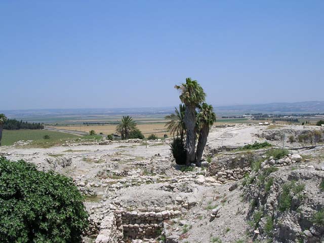 Megiddo View