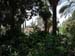 Galilee Beatitudes Church from garden