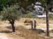 Nazareth Village Farmers