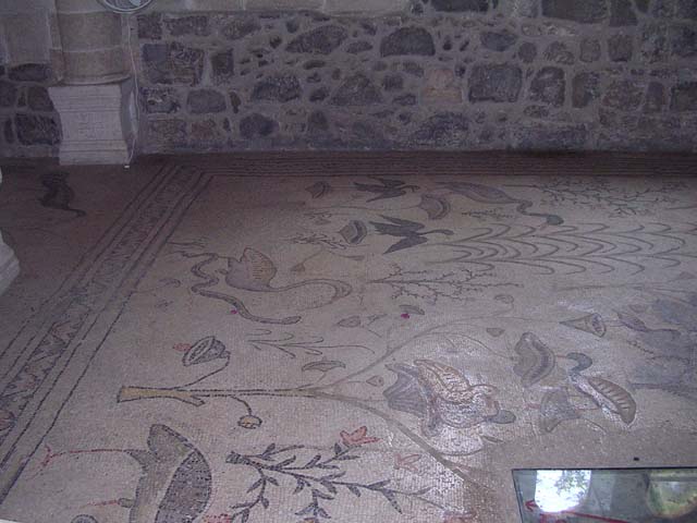 Tabgha Floor(1)
