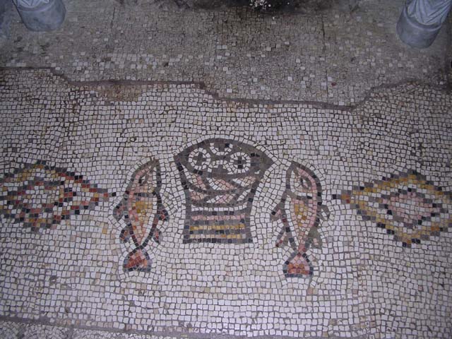 Tabgha Mosaic