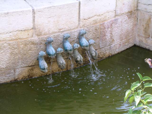 Tabgha Spring