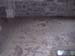 Tabgha Floor(1)