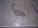 Tabgha Floor(2)