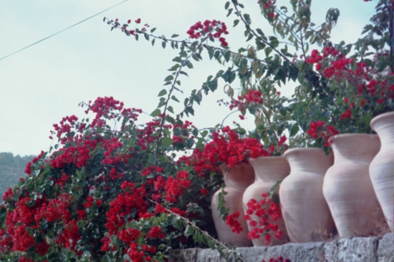 einkarem pots.jpg - 142.38 kb